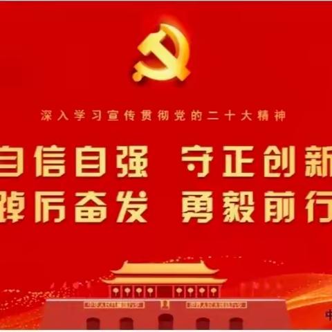 以党的二十大精神为指引 推动全面从严治党