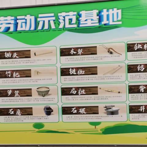 【高陵教育】高陵“双减”校校行∥通远杜家小学劳动教育活动纪实