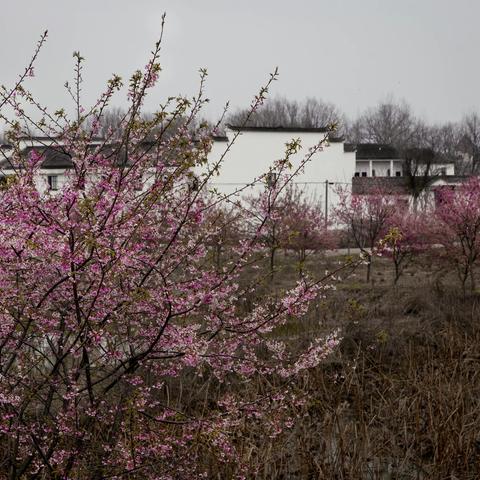 一次真实意义的自驾游（一）