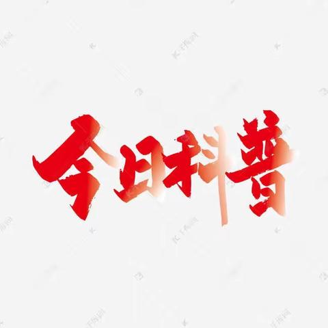 龙艾刘店：提升全民科学素质 助力科技自立自强【三】