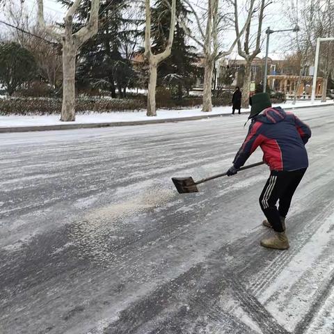 扫雪除冰，共同守护美丽家园