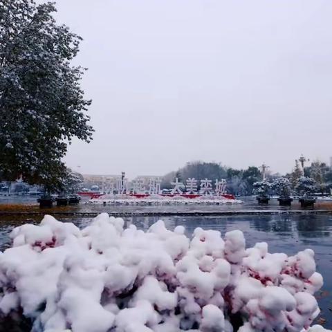 千城胜景｜河北栾城：人民广场雪景美如画