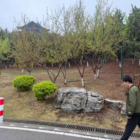 世园发展公司雨天专项检查 筑牢南湖景区安全防线