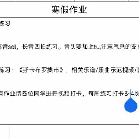 合肥市大通路小学长笛声部寒假作业