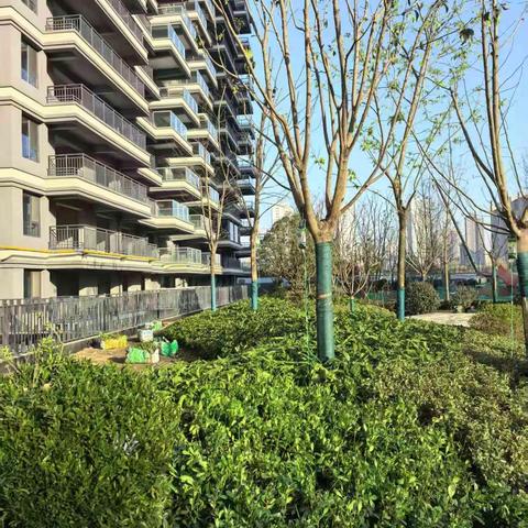 有感某楼盘交付在即 2026.01.14