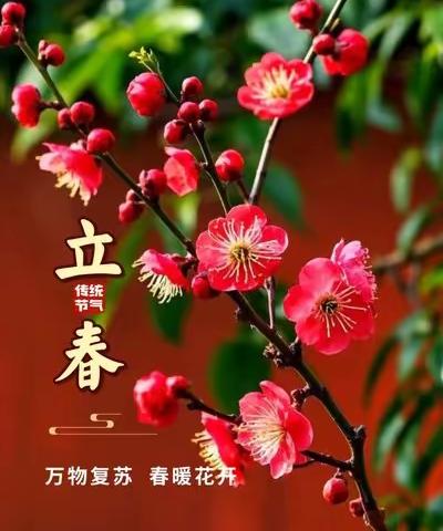 岁杪兼立春日遣怀 2026.02.04