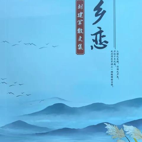 《乡恋》读后感 2026.05.03