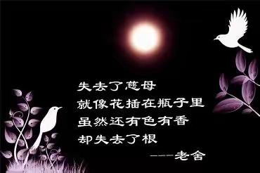 忌日恰逢母亲节寄怀   2026.05.09