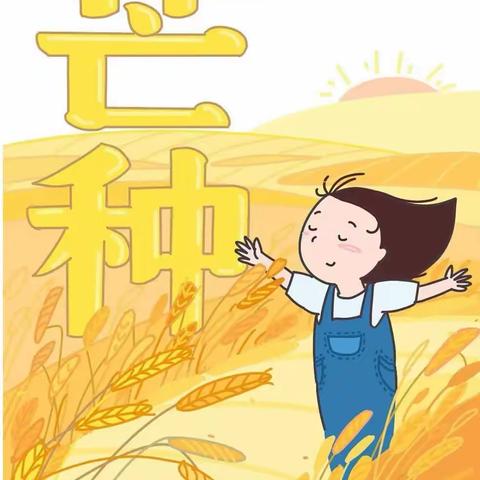 芒种至  仲夏始——蓓蕾幼儿园中班组芒种节气活动