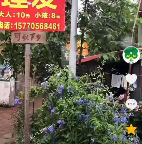 街角的小花园