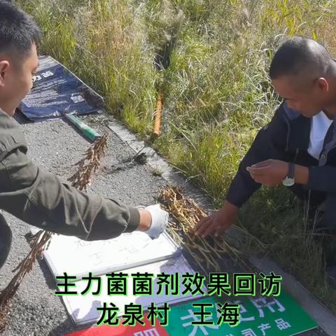 五大连池