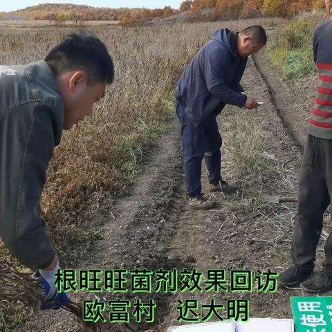 大杨树东北农化服务万里行纪实23年上册