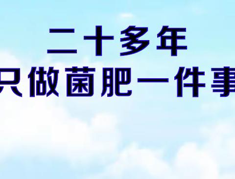 奎勒河东北农化服务万里行纪实