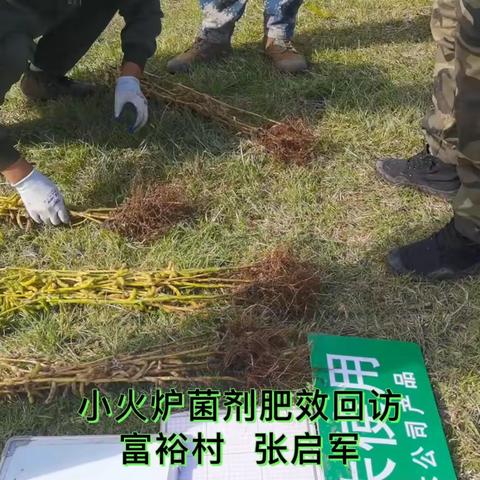 龙河东北农化服务万里行纪实