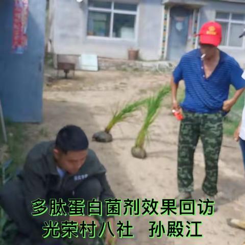天北东北农化服务万里行纪实