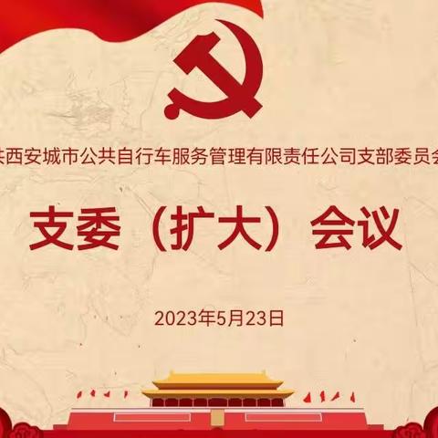 自行车公司党支部召开支委（扩大）会议传达学习习近平总书记在听取陕西省委省政府工作汇报时的重要讲话精