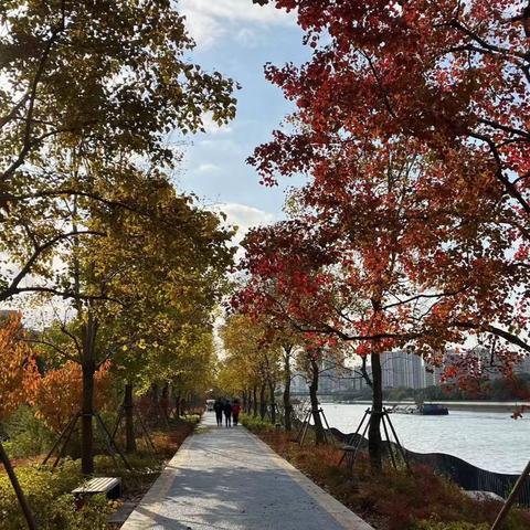 十一月走园——姑苏区运河风光带