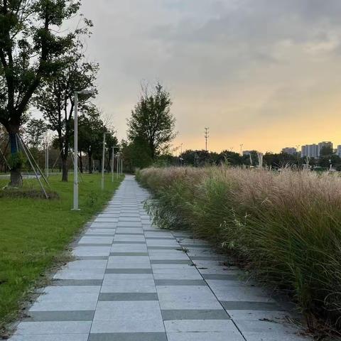 十二月走园——澹台湖公园