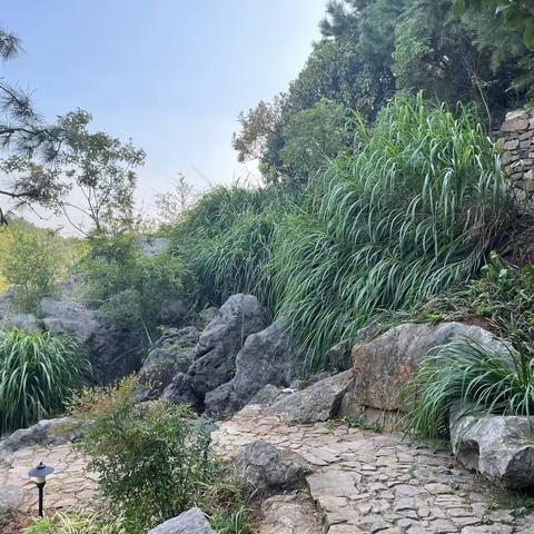 一月走园——金铎岭