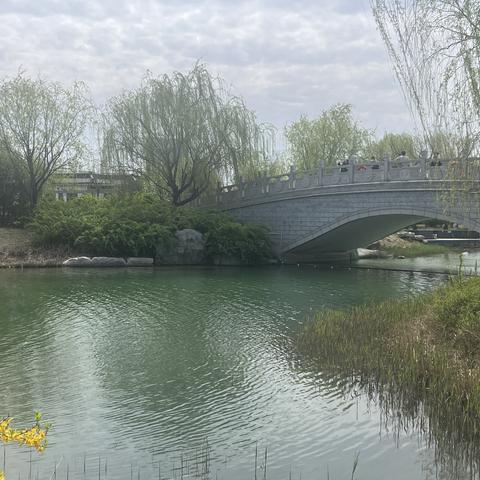 三月走园——齐盛湖公园