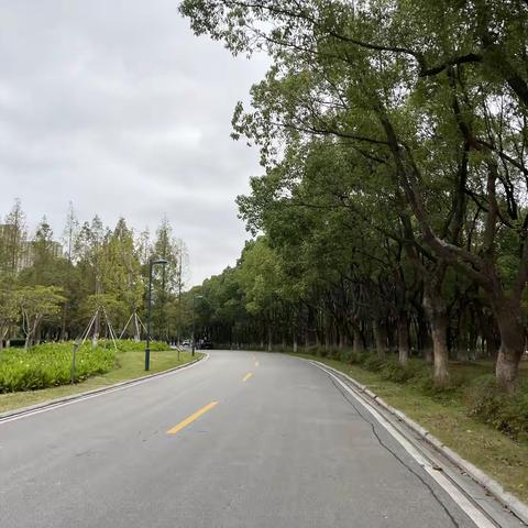 九月走园——东沙湖公园