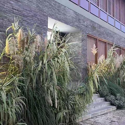 一月走园——丽江古城