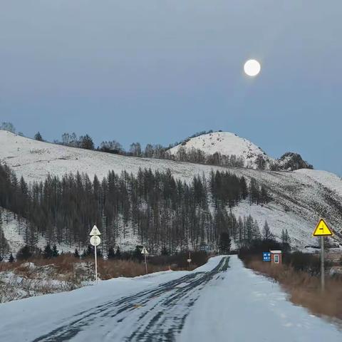 呼伦贝尔拍鸮记