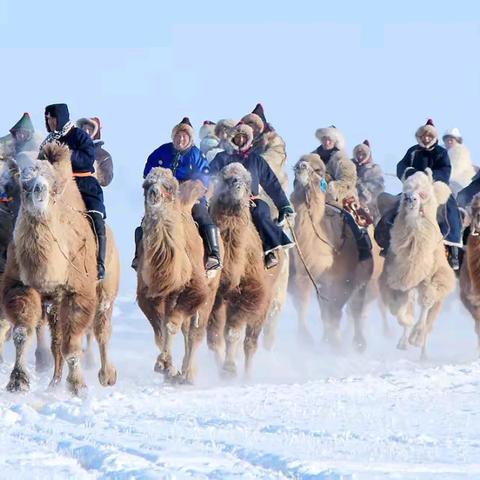 【12月22日-30日】2024冬“银色呼伦贝尔，冰雪那达慕”森林越野9天8晚摄影团