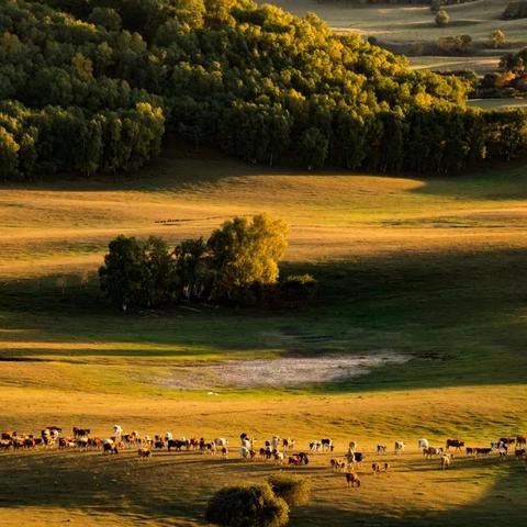 【确定发团】2025.9.24-9.30金秋坝上草原秋色,金山岭长城 7日摄影团