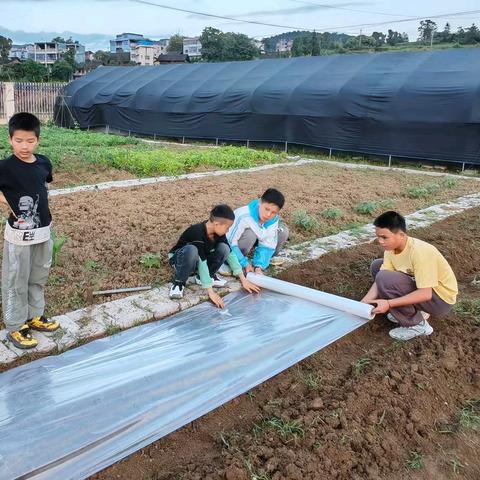 科技+劳动基地，梦想起航的地方