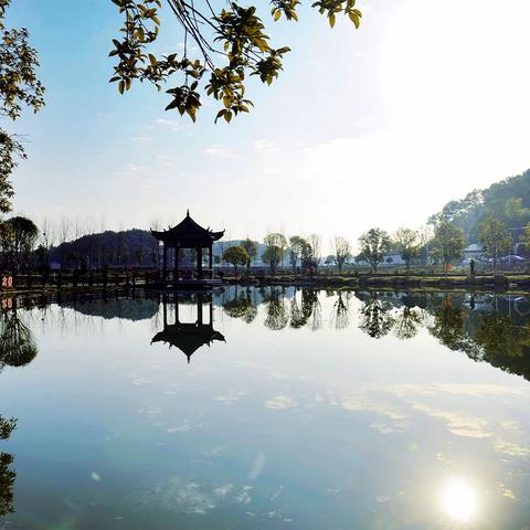 “乡村振兴” 印象 ——走近长沙县果园镇