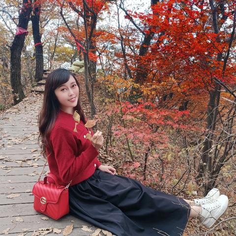 再见，2024！你好，2025！