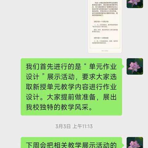 聚焦核心素养 精研大单元作业——记平城区44小学“大单元作业设计”展示活动