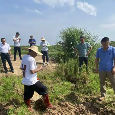 儋州市王五镇东光村委会旱改水土地整治项目通过省级新增耕地验收