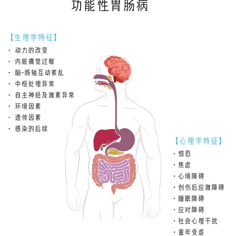 “牵肠挂肚”、“肝肠寸断”都是真的？人类胃肠和情绪都有哪些奇妙关系？