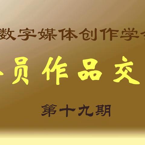 作品交流19期