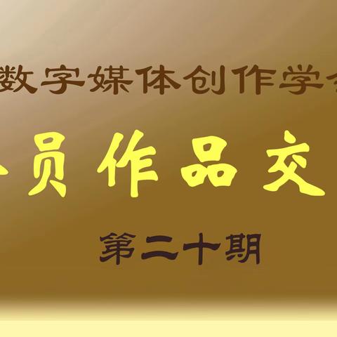 作品交流第20期