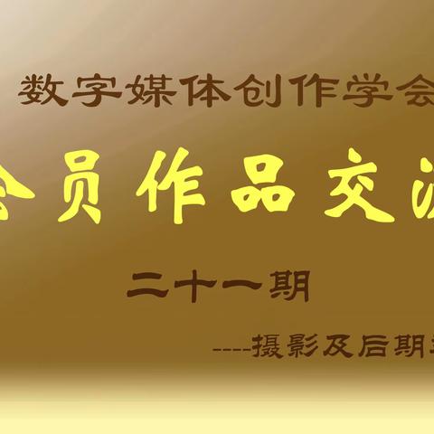 szmtczxh的文章