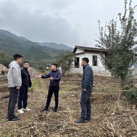 县河红茶产业发展中心深入茶企 了解茶园生产建设情况