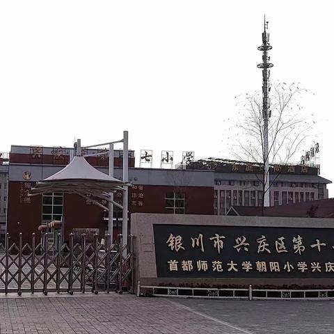 【多彩十七】学生安全自救自护知识宣传教育活动