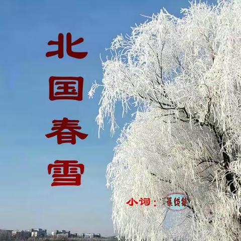 小词：北国春雪