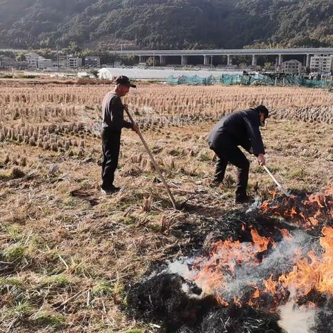 桐浦中队多措并举，筑牢秸秆禁烧“防火墙”