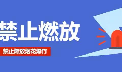 禁燃禁放警示 | 典型案例曝光！