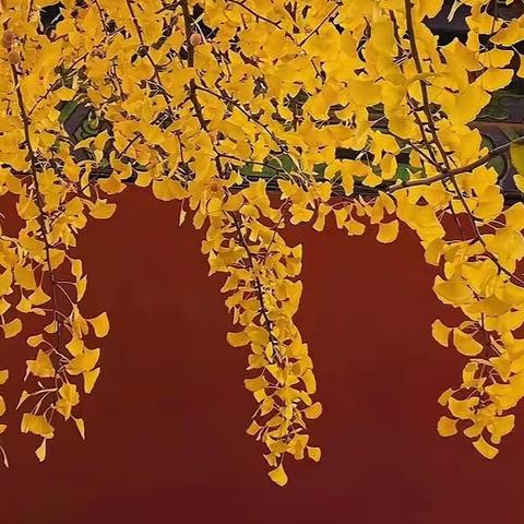 “疫”起居家，记录美好生活——航天之星幼儿园摄影作品展