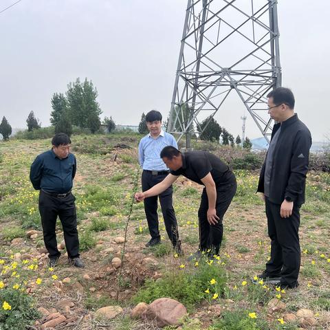 “以点带面”让科技引领农业发展——— 武安市科协深入到大同镇调研指导农业发展