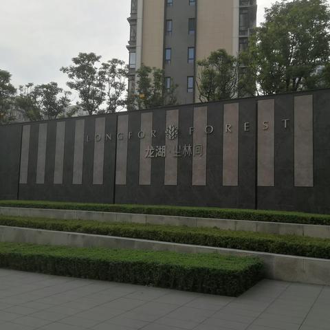 龙湖尘林间大区（7月）