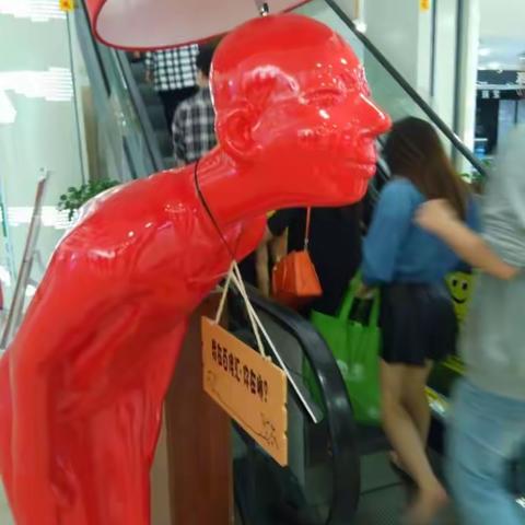 阳台一方天——家有宠物