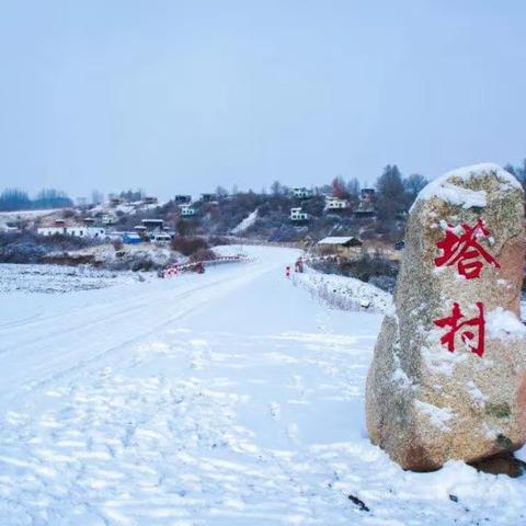 塔村今日飘起了浪漫的雪花