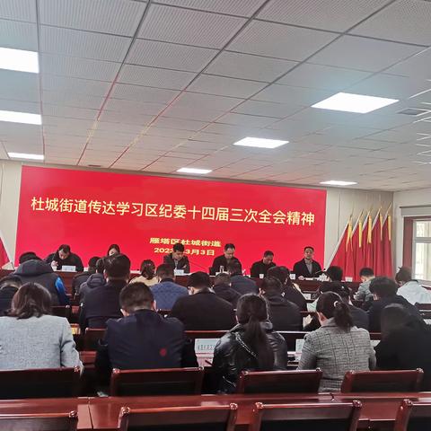 杜城街道传达学习区纪委十四届三次全会精神