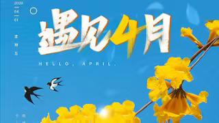 鼎盛天玺 | 4月份工作简报